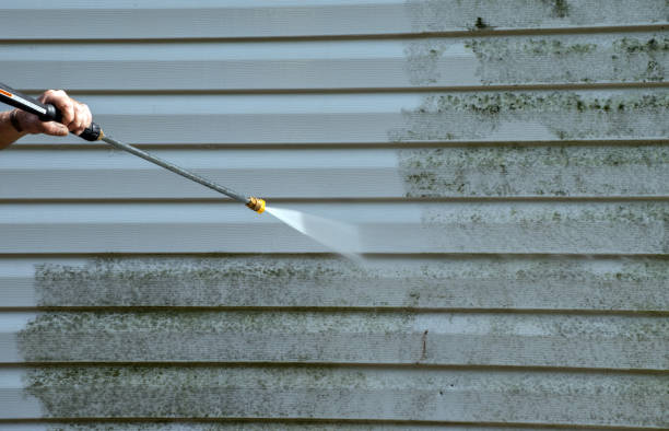 Certified Mold Removal in Catlin, IL